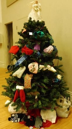 The Mitten Tree