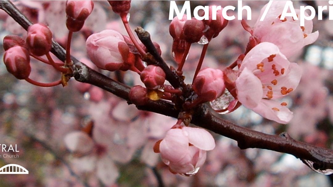 March-april newsletter