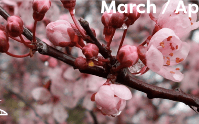 March-April Newsletter