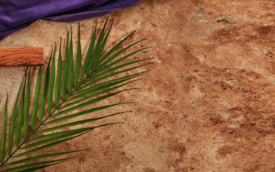 Palm Sunday, April 13, 2025