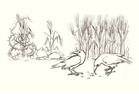 Women’s bible study