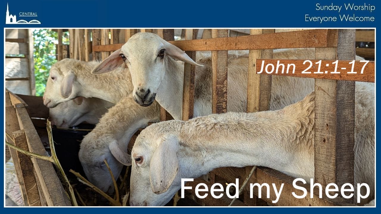 January26 Feed my Sheep