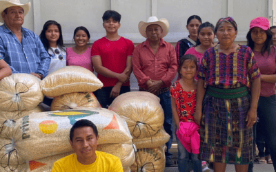 Our Missions 7 Chicken project